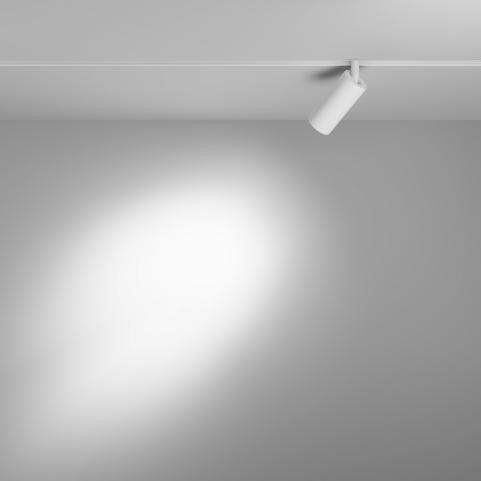 Трековый светильник Maytoni Focus Led Exility 3000-6000K TR032-4-5W3K-S-DS-W