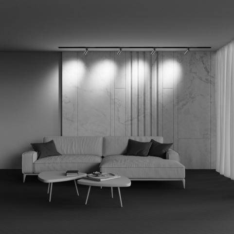 Трековый светильник Maytoni  4000K Focus LED  TR021-1-12W4K-W-BBS