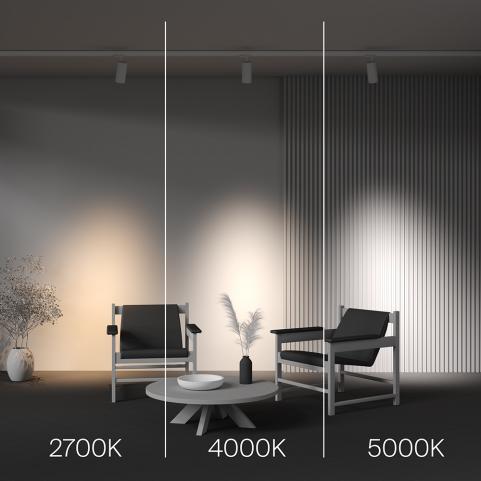 Трековый светильник Maytoni Technical Trinity  2700-5000K Focus Led TR197-3-30WCCT-M-W