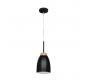 Подвесной светильник Loft IT Watchman LOFT4402A-BL