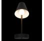Бра Loft IT Shelf 10216/1W Black