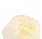 Люстра Crystal Lux OVIEDO PL6